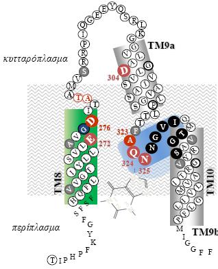 170 Α 