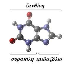 Δομικό μοντέλο του μοτίβου-υπογραφή (έλικα α10) και των δύο γειτονικών α-ελίκων (TM8 και TM1) του XanQ που