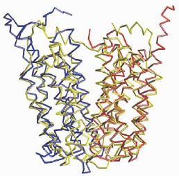 coli (Lemieux et al., 2004): Οι 12 διαμεμβρανικές α-έλικες εμφανίζονται και πάλι οργανωμένες σε δύο ψευδοσυμμετρικές περιοχές.