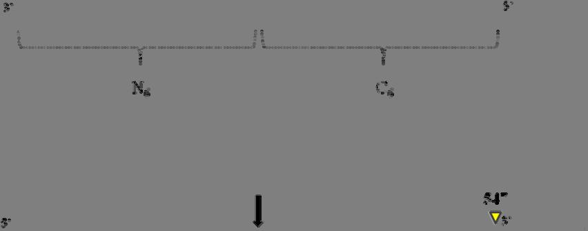 81