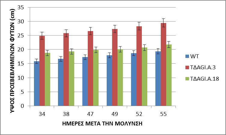 στο ύψος 22 εκατοστών στην τελευταία μέτρηση που πραγματοποιήθηκε. Το ΤΔΑGI.A.3 είχε τη μεγαλύτερη διαφοροποίηση στην ανάπτυξη, εμφάνισε το μεγαλύτερο βαθμό ανάπτυξης των φυτών.