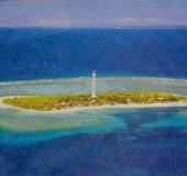 135 Đảo san hô này ở New Caledonia có nguy cơ bị nước biển nuốt chửng trong vài chục năm nữa Chuyện các hòn đảo vùng châu thổ Sunderbans một trong những khu rừng ngập mặn lớn nhất thế giới bị nước