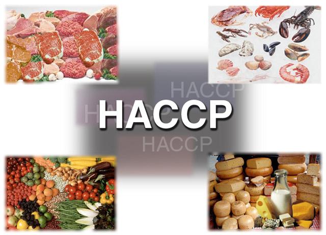 235 CCP4 C: Không có mối nguy bị phát hiện P: Không có mối nguy bị phát hiện 1 1 1 Kiểm