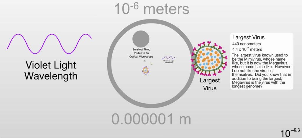 5 cm ar o boabă de cafea este de ordnul a 1 cm, în tmp ce dmensunea une furnc este de 4 mm. Un frcel de nsp este de ordnul a 0.5 mm ar cea ma mare bactere are 750 µm sau 7.