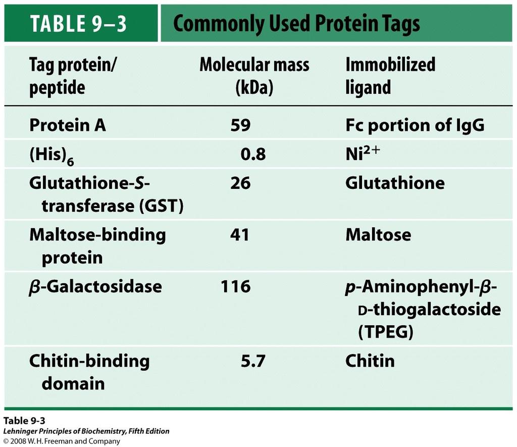 Afinitetno označevanje rekombinantnih proteinov Za lažjo detekcijo in izolacijo rekombinantne proteine ponavadi označimo s specifičnimi označevalci