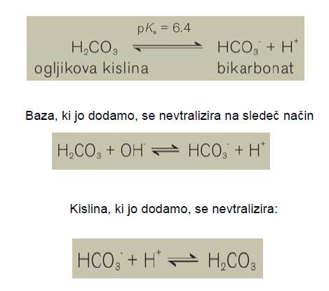 glavni pufrski sistem v krvi in drugih zunajceličnih tekočinah je konjugiran par ogljikova kislina- bikarbonat: tudi Hb deluje kot pufrski sistem acidoza vrednost ph v krvi se