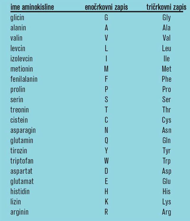 določajo lastnosti polipeptidne verige a) Aminokisline in proteini 1.