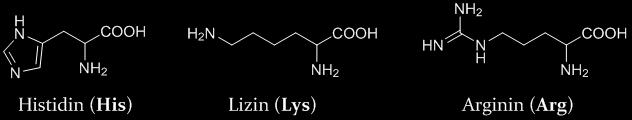 vstopajo v rekacije, v katerih nastanejo estri ali amidi, aminska skupina se lahko veže na amid - OH skupina na stranski verigi serina reagira s kislinami in tvori estre - karboksilna skupina ene AK