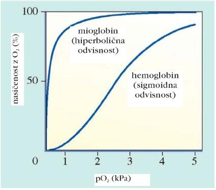 med seboj se povezujejo z zavoji (mnogi od teh vsebujejo prolin) značilnost kvartarne strukture hemoglobina je to, da so vse 4 polipeptidne verige so tetraedrično razporejene (pri stabilizaciji