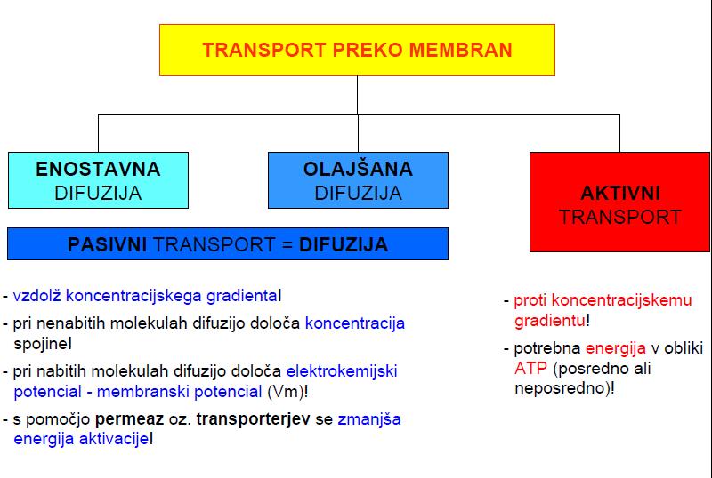 1.) Pasivni transport: enostavna in olajšana difuzija ENOSTAVNA: energijsko ugoden proces, entropija sistema narašča, prosta entalpija pa se zmanjšuje. Snov potuje iz večje na manjšo konc.