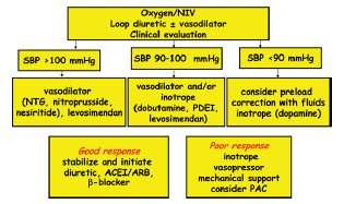 Acute Heart Failure