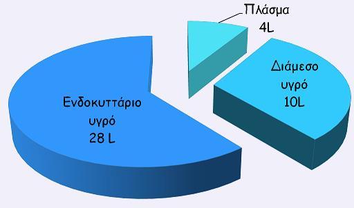 σημαίνει ότι πολύ λίγο