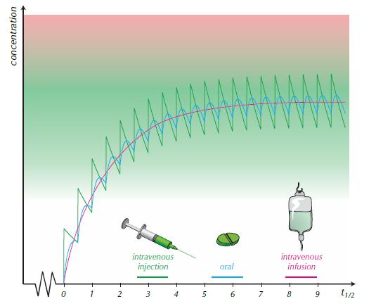 Συνεχής χορήγηση ή επαναλαμβανόμενες δόσεις Απαιτείται ο ίδιος χρόνος για να επιτευχθεί ένα σταθερό επίπεδο, που εξαρτάται από τον χρόνο ημιζωής.