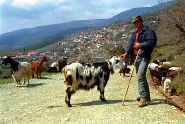 της εκμετάλλευσης από το κράτος μεν, αλλά με τη