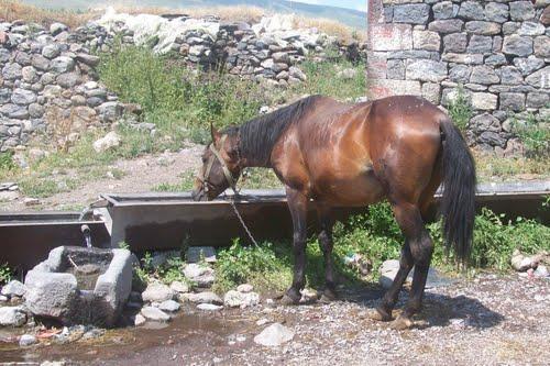 ΕΡΓΑ ΥΠΟΔΟΜΗΣ ΚΑΙ ΒΕΛΤΙΩΣΕΙΣ ΒΛΑΣΤΗΣΗΣ Το