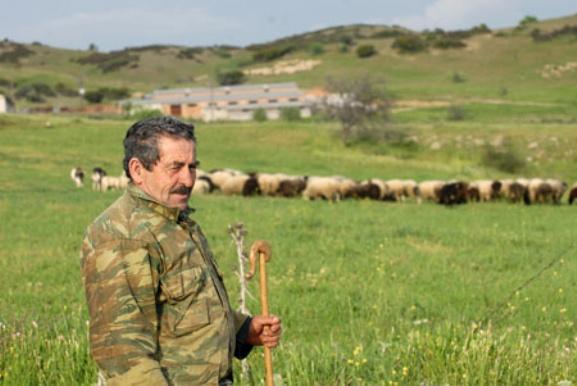 Η ομαδική εκμετάλλευση έχει και μειονεκτήματα.