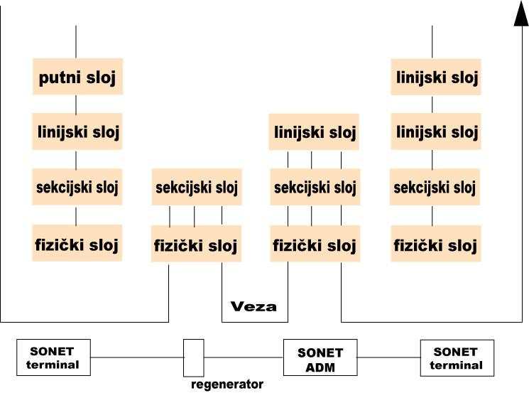 je mrežni standard koji je razvijen tako da povezuje prenos govora i podataka zajedno. IP je najrasprostranjeniji standard i koristi se pro internet komunikaciji. SONET sloj sadrži četiri podsloja.