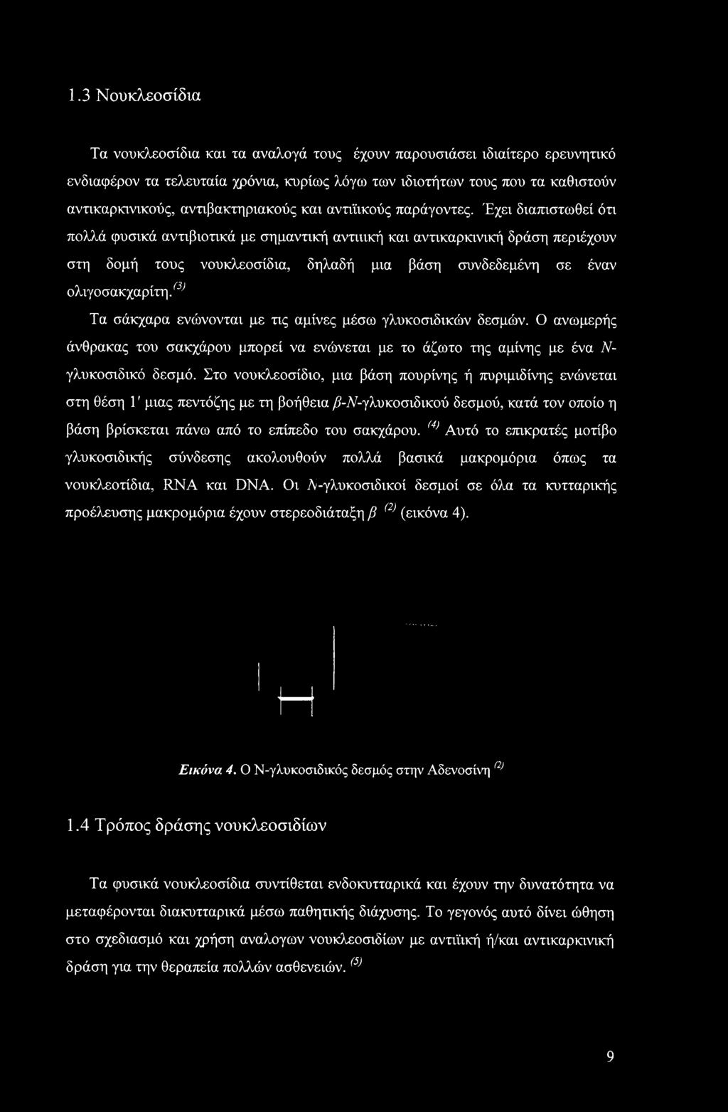 Έχει διαπιστωθεί ότι πολλά φυσικά αντιβιοτικά με σημαντική αντιιική και αντικαρκινική δράση περιέχουν στη δομή τους νουκλεοσίδια, δηλαδή μια βάση συνδεδεμένη σε έναν ολιγοσακχαρίτη.