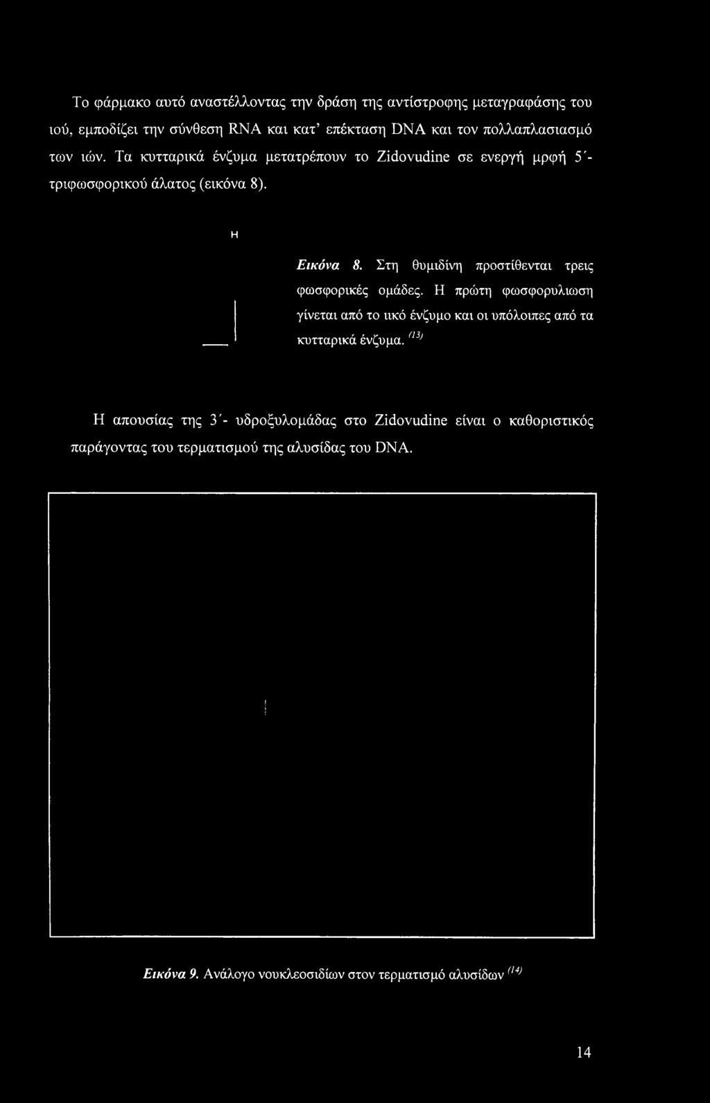 Στη θυμιδίνη προστίθενται τρεις φωσφορικές ομάδες. Η πρώτη φωσφορυλχιοση γίνεται από το ιικό ένζυμο και οι υπόλοιπες από τα κυτταρικά ένζυμα.