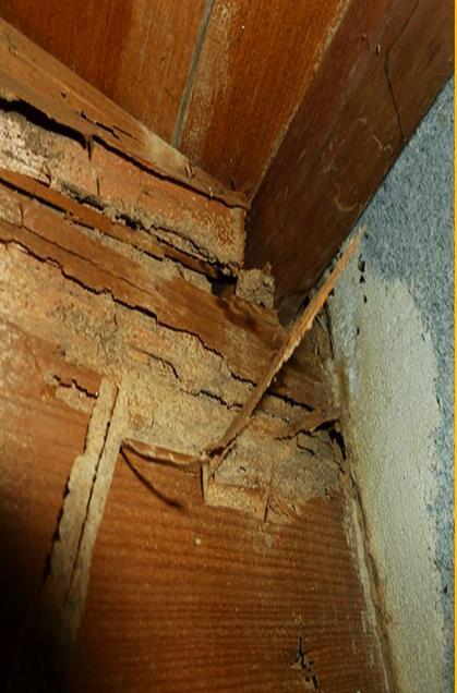 Εικόνα 4. Προσβολή ξύλινης κατασκευής από ξυλοφάγα έντομα (αριστερά) (Πηγή : https://accurateinspecting.com/termite-inspection/ ).