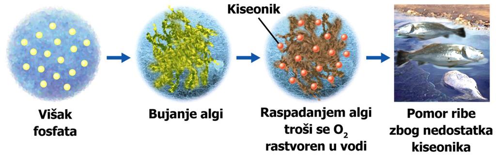 FSFR EKLŠKI PRBLEMI Fosfati su