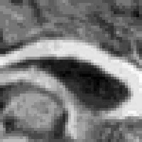 (b) fxed, regon (c) movng, full mage 1 2 3 4 (d) mov., regon 6. 4.5 3. 13.5 13.