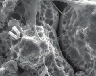 σχεδόν ίδια με αυτή του οστού Macro-cavities are obtained (80-100 micron)