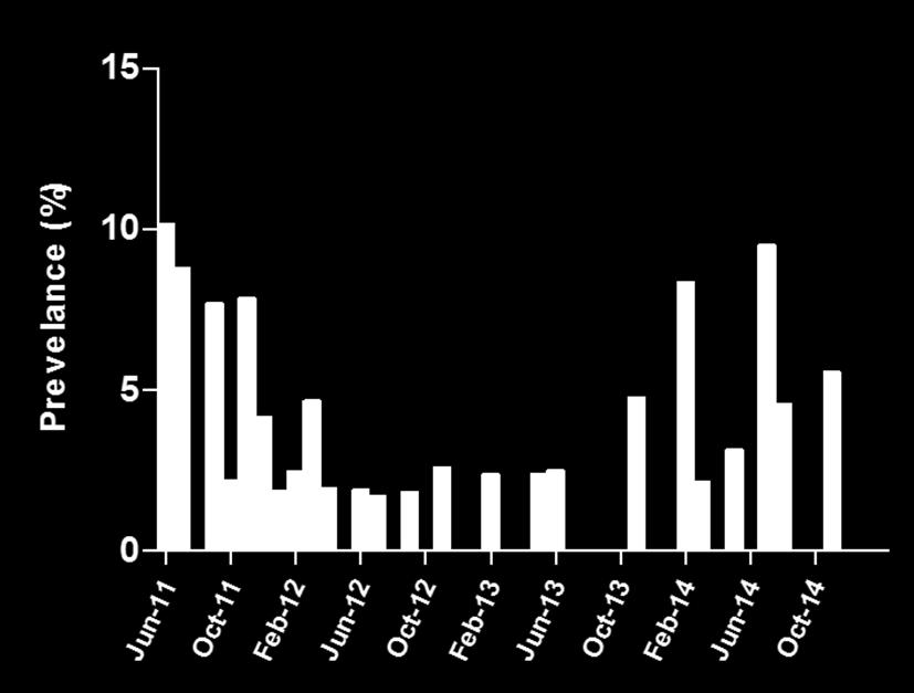 Prevalence of CP-Kp Rectal