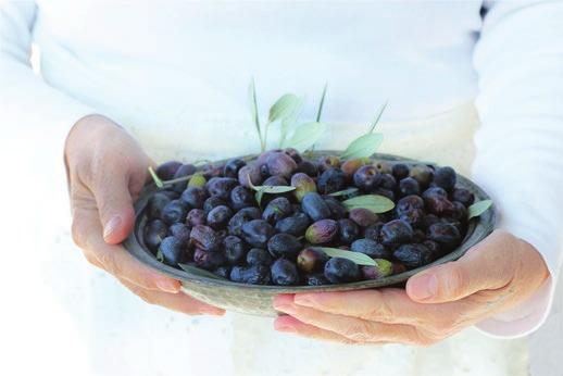 ΠΟΙΟΙ ΕΙΜΑΣΤΕ Δημιουργήσαμε την έκθεση 1st Gourmet Olive Exhibition με σκοπό την υποστήριξη και ισχυροποίηση στο εξωτερικό, της υπεροχής της Ελληνικής γαστρονομικής παράδοσης που βασίζεται στο