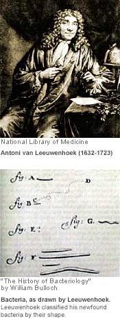 ΠAPATHPHΣH & KYTTAPO 1664 O Robert Hooke χρησιμοποίησε το πρωτόγονο
