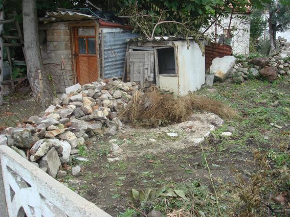 Θεολόγου Η