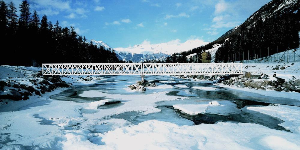 Εικόνα 4.21: Γέφυρα Pontresina [παρ.174]. 4.4 ΓΕΦΥΡΕΣ ΜΕ ΦΟΡΕΑ ΑΠΟ FRP.
