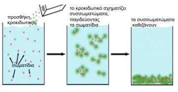 Εικόνα 2.