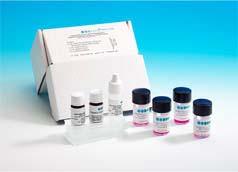 Legionella pneumophila οροομάδες 2-14 (της OXOID) ή 2-15 (της SLIDEX) Μία ομάδα ειδών Λεγεωνέλλας, Group 3 όπου αναγνωρίζονται ταυτόχρονα