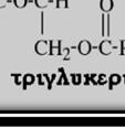των πολυσακχαριτών και αντιστρόφως (Diamantopoulou et al.