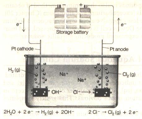 Although several reactions occur at both the anode and the cathode,