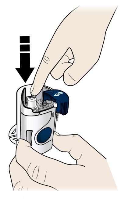 Nu introduceţi cartuşul cu mai mult de 5 minute înainte de injectare. Aceasta ar putea duce la uscarea medicamentului.