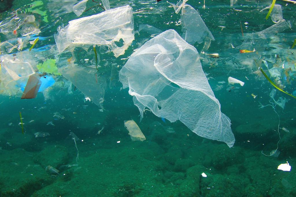 Πλαστικά Ένα από τα σημαντικότερα περιβαλλοντικά προβλήματα του Παγκόσμιου Ωκεανού για τον