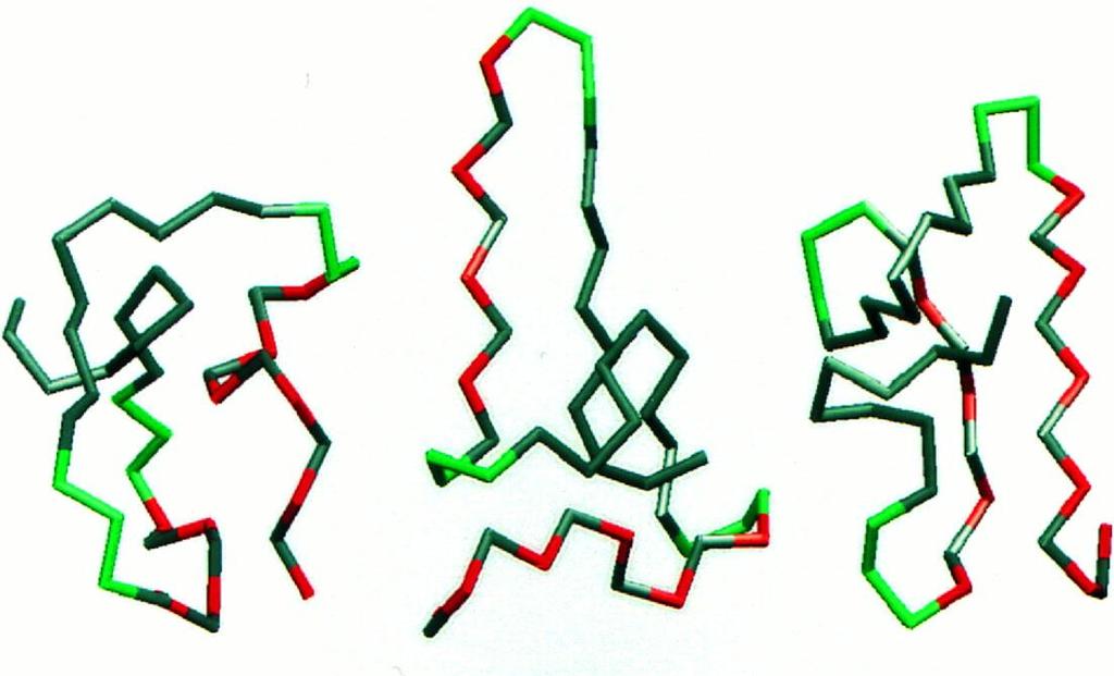 Ko-translaciono prostorno uvijanje polipeptida Tokom evolucije,