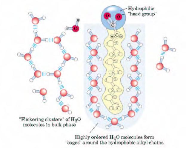 Molekuli