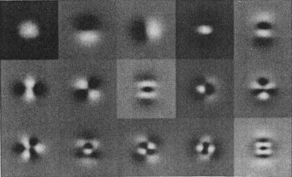 The Principal Components of Natural Images The first principal components resemble simple-cell receptive