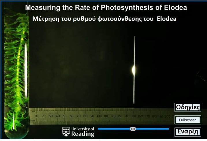 3 ΥΛΙΚΑ ΚΑΙ ΜΕΘΟΔΟΙ Χρησιμοποιήσαμε το λογισμικό από το Πανεπιστήμιο του Redding (1) το οποίο δίνει τη δυνατότητα να μελετήσουμε την επίδραση της έντασης του φωτός στο