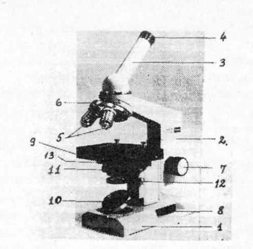 2.0.1.4 Mikroskoobi kirjeldus Tööstus toodab vastavalt praktika vajadustele väga mitmesuguseid mikroskoope.