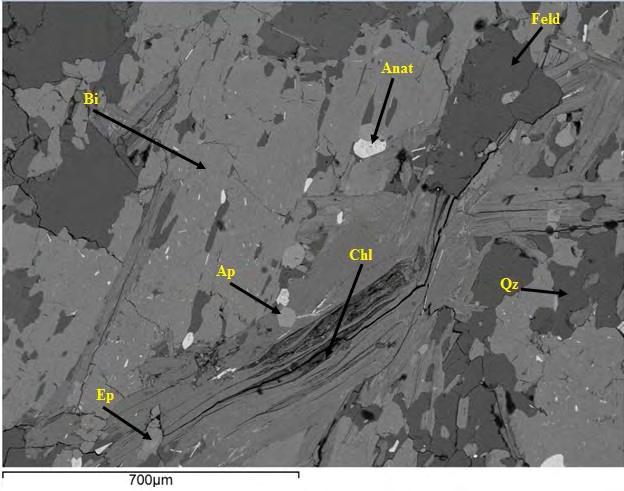Σε αυτά τα πετρώματα εντοπίστηκαν επίσης χαλαζίας, επίδοτο, ζωισίτης, τιτανίτης, ιλμενίτης και απατίτης (Εικόνα 46). Στο δείγμα F1 παρατηρήθηκαν τα ορυκτά χρωμίτης και οξείδια σιδήρου.