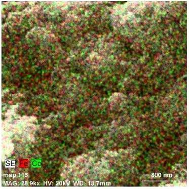Masuratorile de SEM-EDX Masuratorile de microscopie electronica de baleaj au confirmat formarea cristalitelor de CoFe2O4 dar si prezenta unei largi mase amorfe.