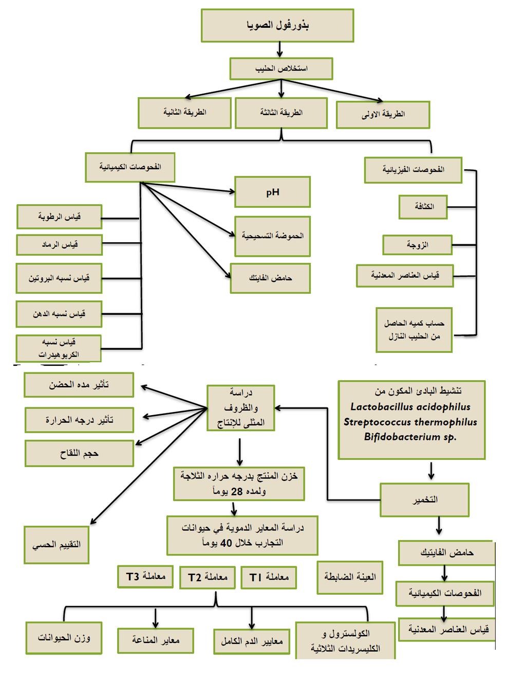 Materials and Methods