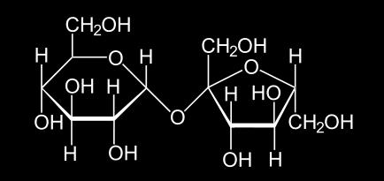 Sucrose Glycine betaine Proline Glutamate