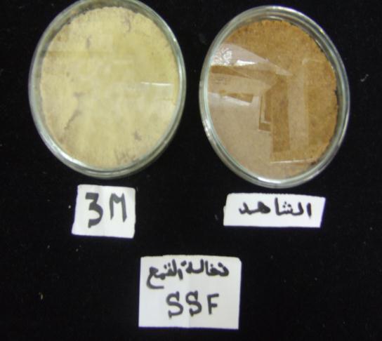 شكل (S1) A.