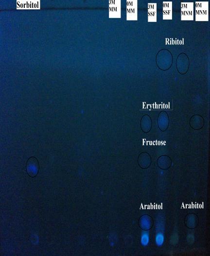 ( 9:1) ح:ح ( 9:1) ح:ح ( شكل 20 (: فصل الكحوالت متعددة
