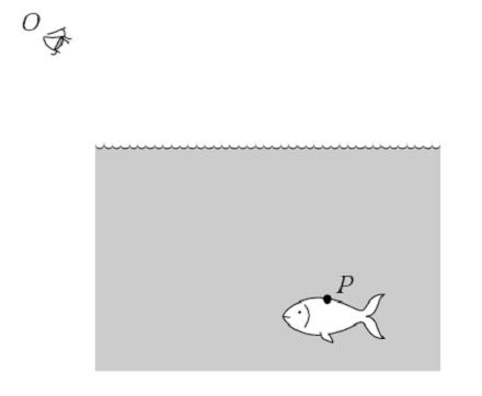 Преламање Риба се налази у тачки Р испод површине воде.